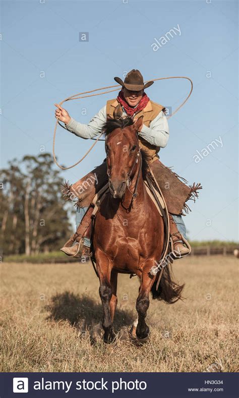 A Cowboy On Horseback Galloping With His Lasso Stock Photo Royalty