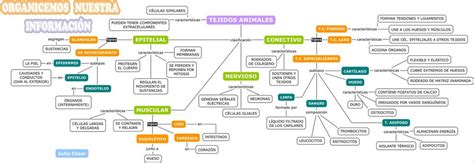 Tejidos Web Itif Centrobiologia