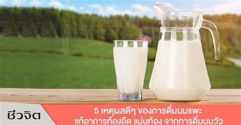 5 เหตุผล ดื่มนมแพะ แก้ปัญหาอาการท้องอืด แน่นท้อง จากการดื่มนมวัว -ชีวจิต