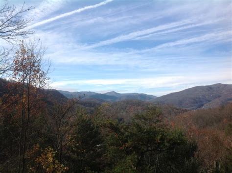 Honey bear cabin 1842 rose pass, gatlinburg, tn 37876. Honey Bear Cabin in Gatlinburg Tennessee