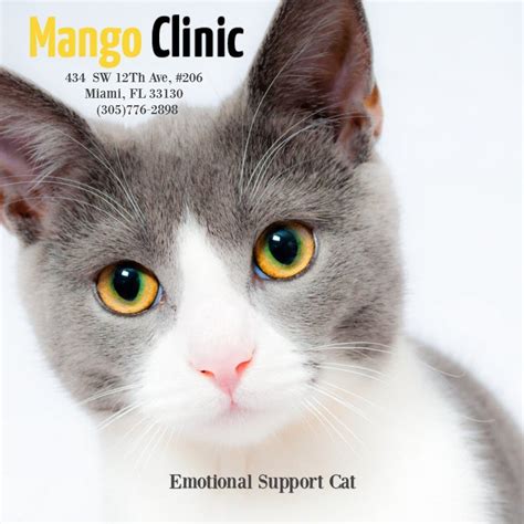 Any pet can become an emotional support animal to a person with psychiatric disabilities and other mental impairments. Top 10 FAQ About Emotional Support Pets · Mango Clinic