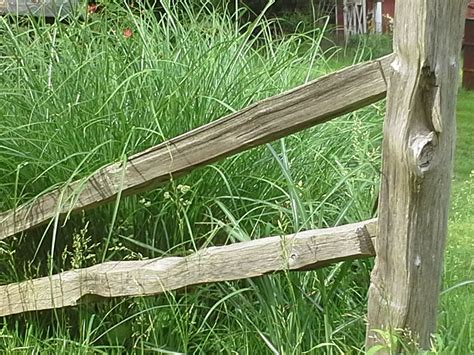 A garden fence is a practical and functional addition to any garden, landscape or backyard. grasses growing behind split rail fence | Fence ...