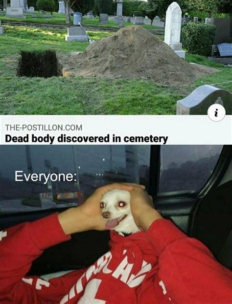 Holy Fuk Why Is A Dead Body There In A Cemetery Rage Comics