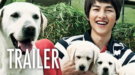 Bagi hachiko lovers (alias pecinta film hachiko a dog's story). Hearty Paws 2 - OFFICIAL TRAILER - Song Joong-ki & Puppies ...