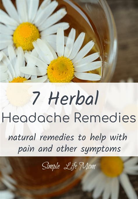 7 Herbal Headache Remedies Simple Life Mom In 2020 Natural Headache