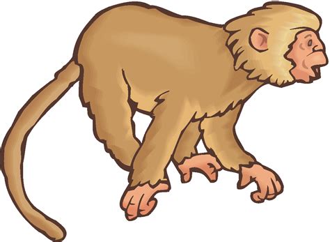 Free Free Monkey Clipart Download Free Free Monkey Clipart Png Images