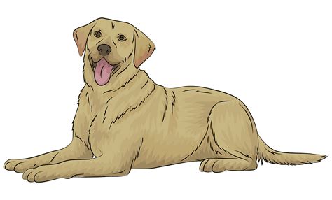 2 Golden Retriever Clipart 10 Free Cliparts Download Images On