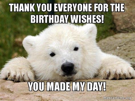 Funny Thanks For The Birthday Wishes Meme Mcrae Aliedis