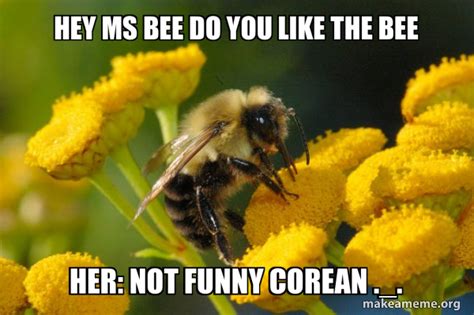Hey Ms Bee Do You Like The Bee Her Not Funny Corean Good Guy Bee