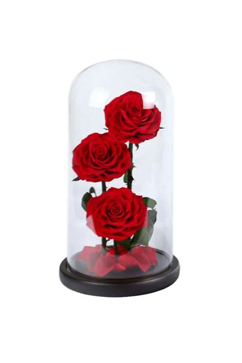 Forever Rose 3 In Glass Dome Red Preserved And Dried Flower