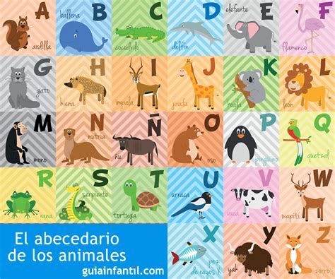 Lista 102 Imagen De Fondo Animales Con La Letra A Actualizar