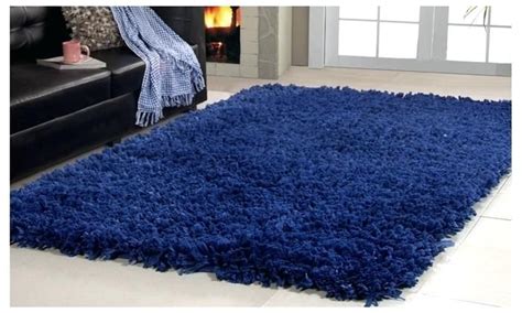 Fine Blue Fuzzy Rug Pictures Best Of Blue Fuzzy Rug For Image