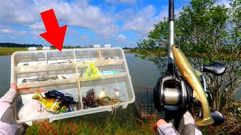 Minnow fishing lures bass crankbait hooks tackle crank baits + fishing box. What's in My Bass Fishing Tackle Box? (Tips & Techniques ...