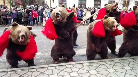 urșii din comănești bear dance traditional romanian