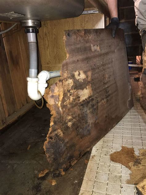 What can you do right now to get things under control and minimize the damage? Water Damage - Pipe Break Under Sink in North Arlington ...