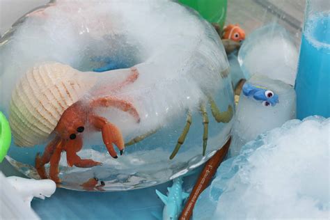 How often do you need to feed blue crabs? Finding Dory Summer Ice Rescue Sensory Play for Kids