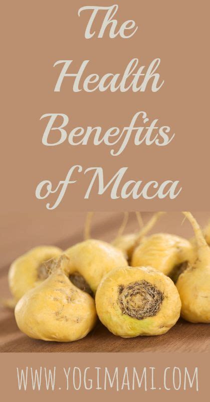 maca benefits maca benefits maca powder benefits maca superfood