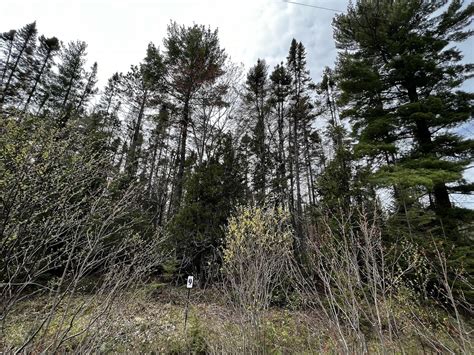 Paradise, Chippewa County, MI Undeveloped Land, Homesites for sale