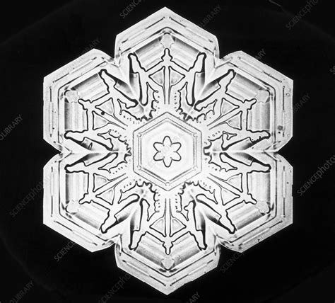 Snowflake Stock Image C0285027 Science Photo Library