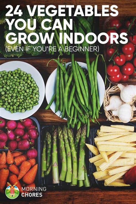 Growing Food Indoors Artofit