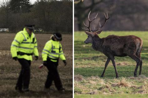 Severed Deer Heads Found Strewn Across Field In Northamptonshire