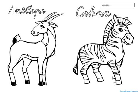 Animales para colorear (II) - Web del maestro