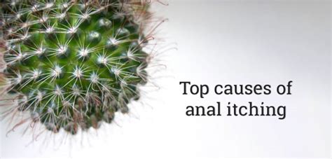 What Can Cause Anal Itching Telegraph