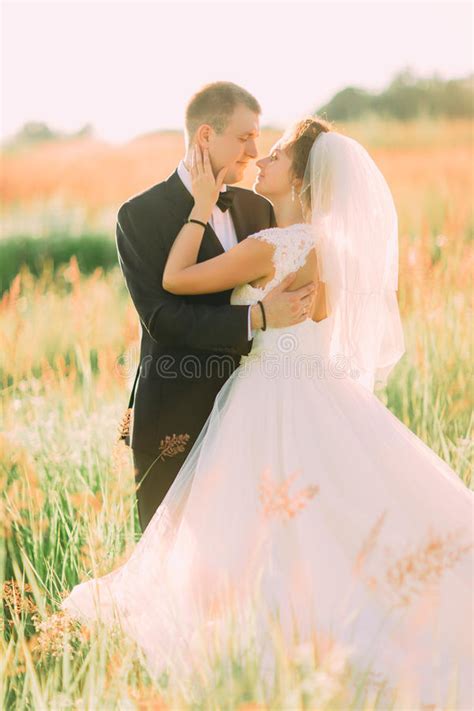 Lovely Portrait Of The Hugging Newlyweds In The Field The Bride Is