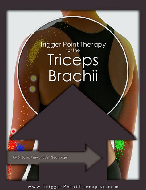 Trigger Point Video For Triceps Brachii Muscle