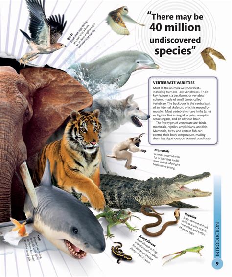 Super Nature Encyclopedia The 100 Most Incredible Creatures On The Pl