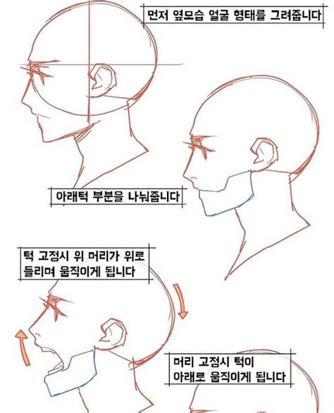 Side Profile View Nose Drawing Profile View Drawing Eye Drawing Cartoon