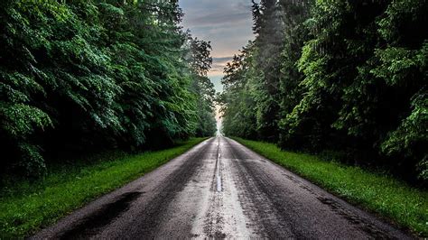 Road Between Green Grass Field And Trees Nature Hd Wallpaper Peakpx