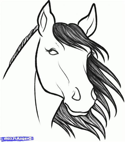Easy To Draw Horse Head How To Draw A Horse Head Stepstep Farm
