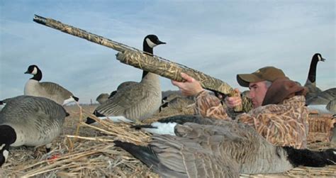Secrets To Hunting Geese Part One Outdoorhub