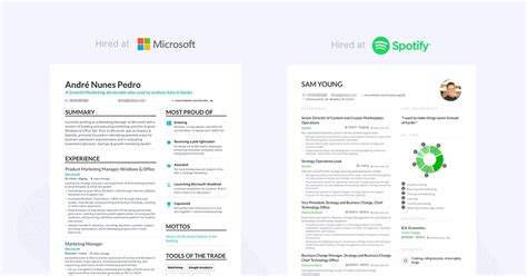 How To Create A Combination Resume 6 Unique Hybrid Resume Examples