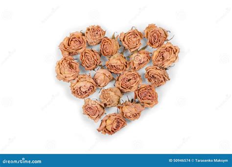 Dry Rose Flowers Heart Isolated On White Background Valentine Stock