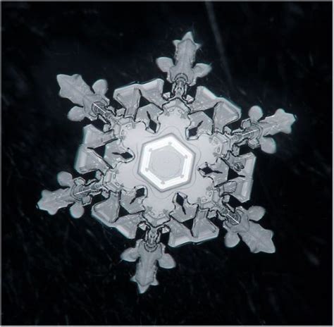 Unique And Beautiful Snowflakes 49 Pics Snowflakes