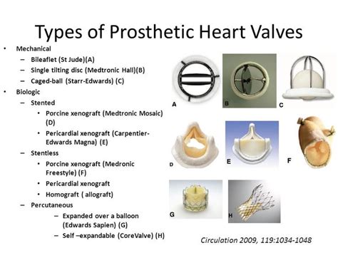 Heart Valves Prosthetics Valve