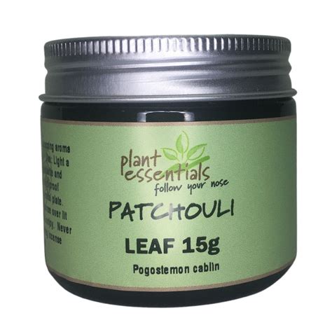 Patchouli Leaf 15g ~ Pogostemon Cablin Plant Essentials