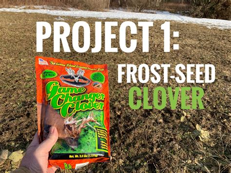 Frost Seeding For Whitetail Food Plots