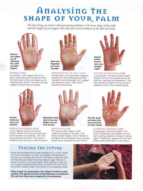 Analysing The Shape Of Your Palm Palmistry Palm Reading Palmistry