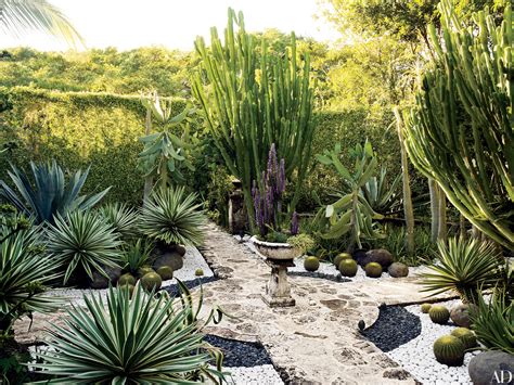 These Homes Feature The Best Plants For A Desert Landscape Photos