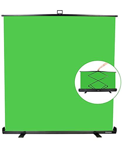 15 Best Portable Green Screen By 17116 Reviews