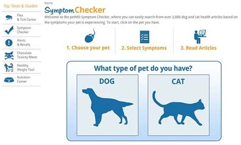 Whats Wrong With My Dog The 5 Best Symptom Checkers Online