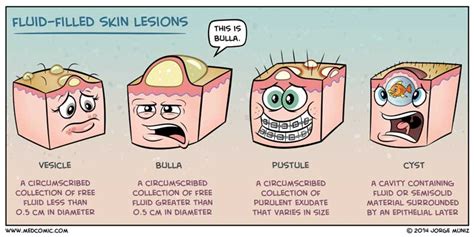 Medcomic Cartoons Hilarious Medical Learning Volume 2