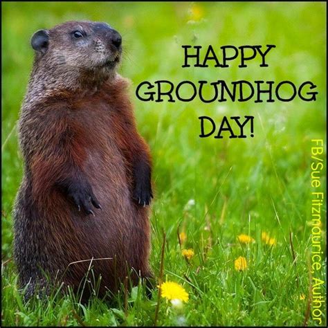 Happy Groundhog Day Bits And Pieces