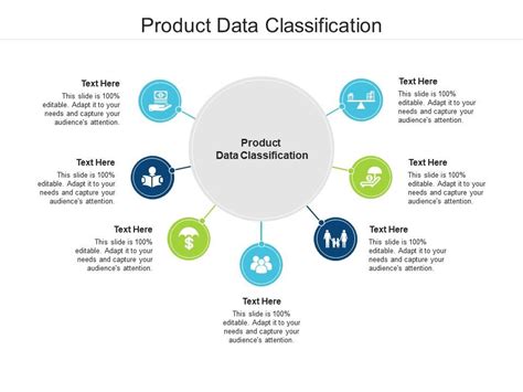 Product Data Classification Ppt Powerpoint Presentation Styles Brochure