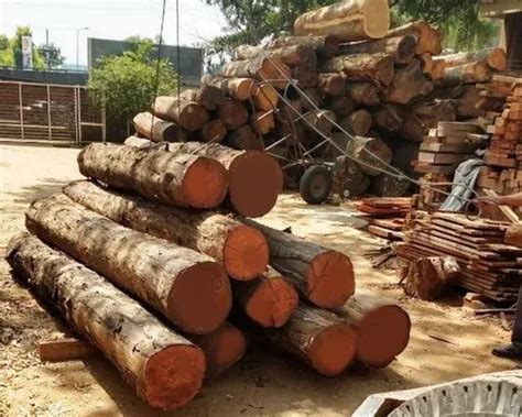 Brown Round Burma Teak Wood Log Thickness 15inch At Rs 7000cubic Feet In Bengaluru