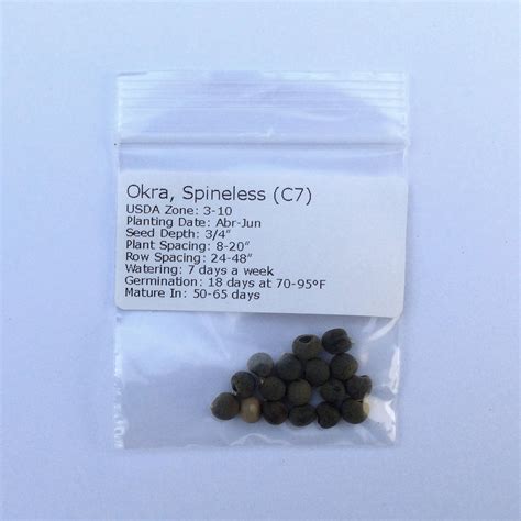 Okra Organic Seeds Heirloom Open Pollinated Non Gmo Grow Etsy