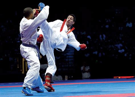 best of karate fighting techniques pdf kyokushin shotokan judo katas marciales taekwondo